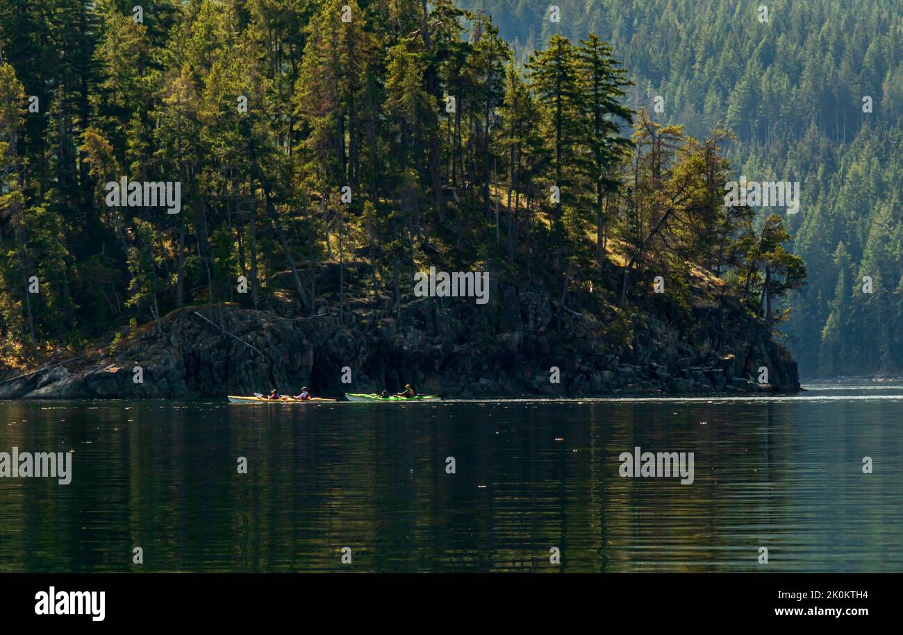 Kajakfahrer der Öko-Tourismus-Gruppe paddeln im Okisollo Channel, British Columbia, Kanada. Stockfoto