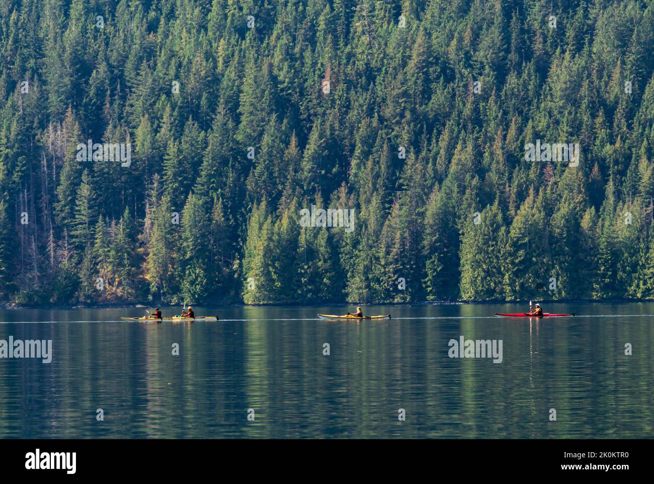 Kajakfahrer aus der Öko-Tourismus-Gruppe paddeln im Okisollo Channel, British Columbia, Kanada. Dicker Nadelwald dahinter. Stockfoto
