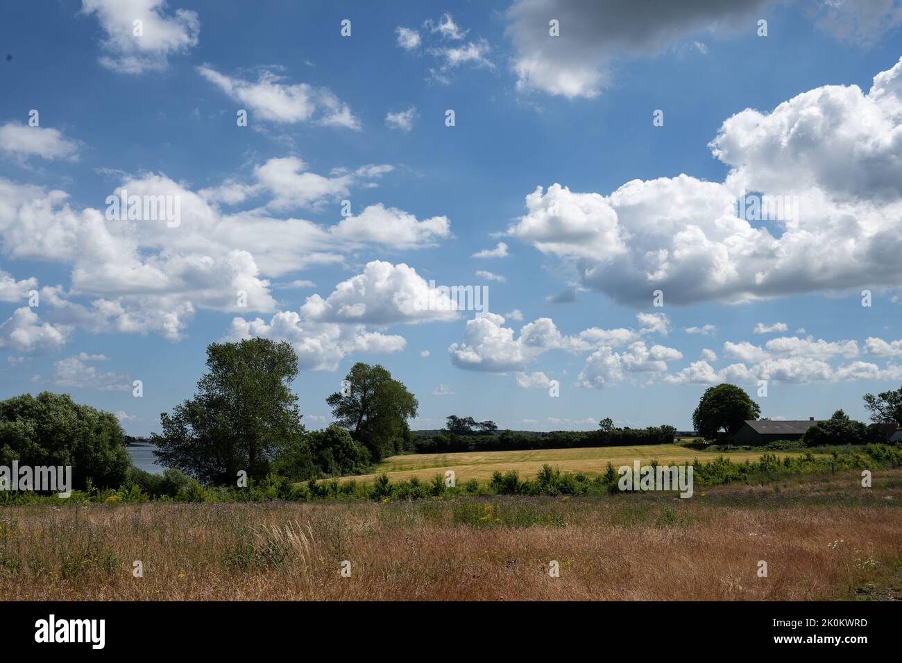 Landschaft in Ladby Fyn Dänemark Stockfoto