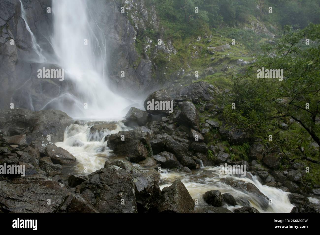 Wasserfall genannt Aber verliebt sich in Coedydd National Nature Reserve, Conwy, Wales, UK Stockfoto