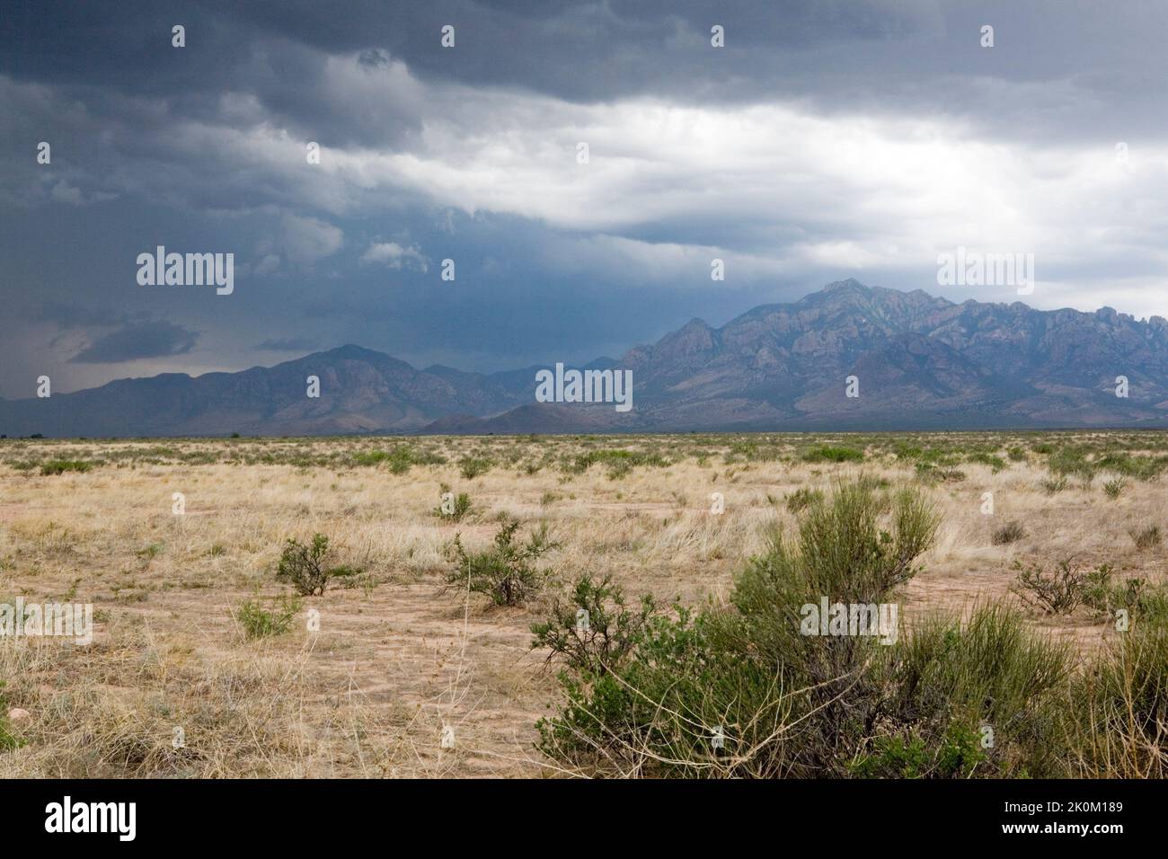 Über dem San Simon Valley und den Chiricahua Mountains in New Mexico, USA, sammeln sich Sturmwolken Stockfoto
