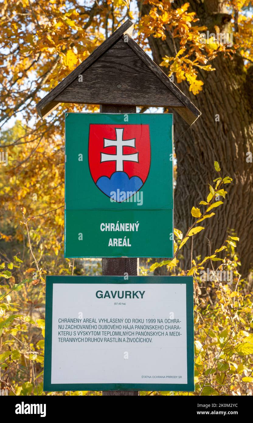 Gavurky, Dobra niva, Slowakei - 24. Oktober 2021 : Gavurky Pannonian Grove. Ein alter Eichenhain. Das Gebiet ist ein Schutzgebiet von europäischer Bedeutung. Stockfoto