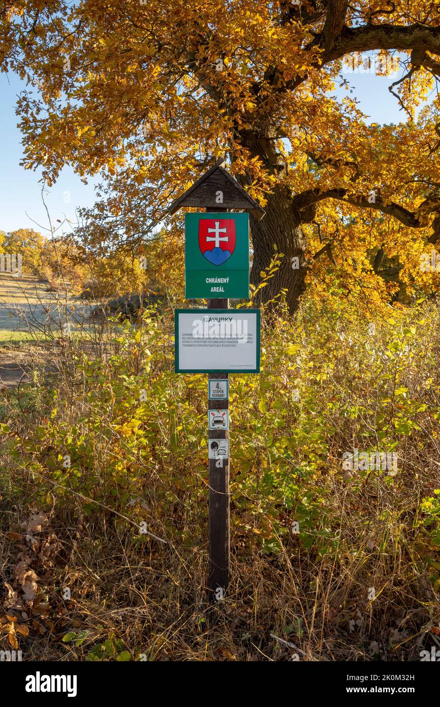 Gavurky, Dobra niva, Slowakei - 24. Oktober 2021 : Gavurky Pannonian Grove. Ein alter Eichenhain. Das Gebiet ist ein Schutzgebiet von europäischer Bedeutung. Stockfoto