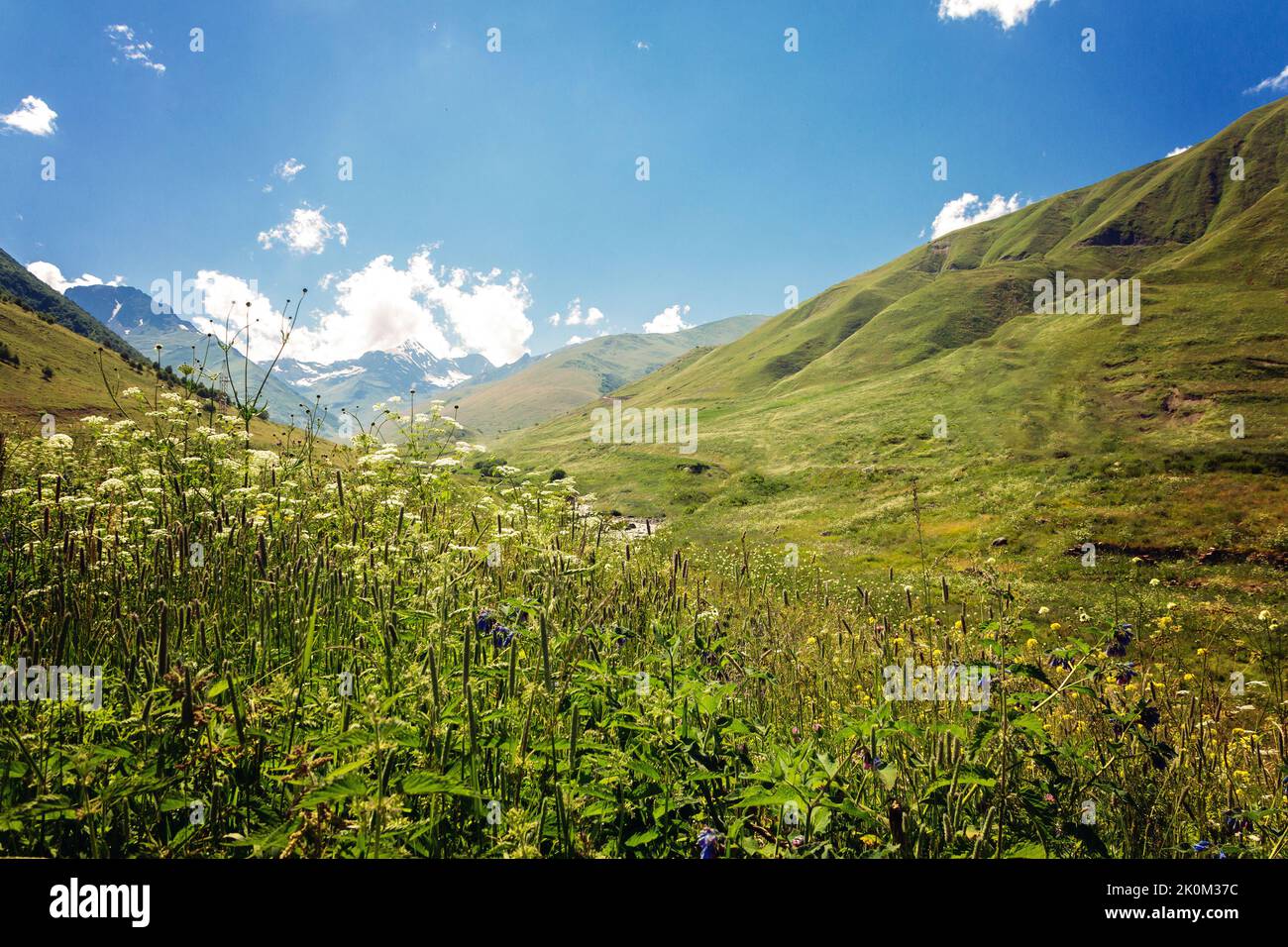 Blick auf hochalpine Wiesen in den Bergen des Großkaukasus. Russland, Republik Nordossetien-Alanien. Stockfoto