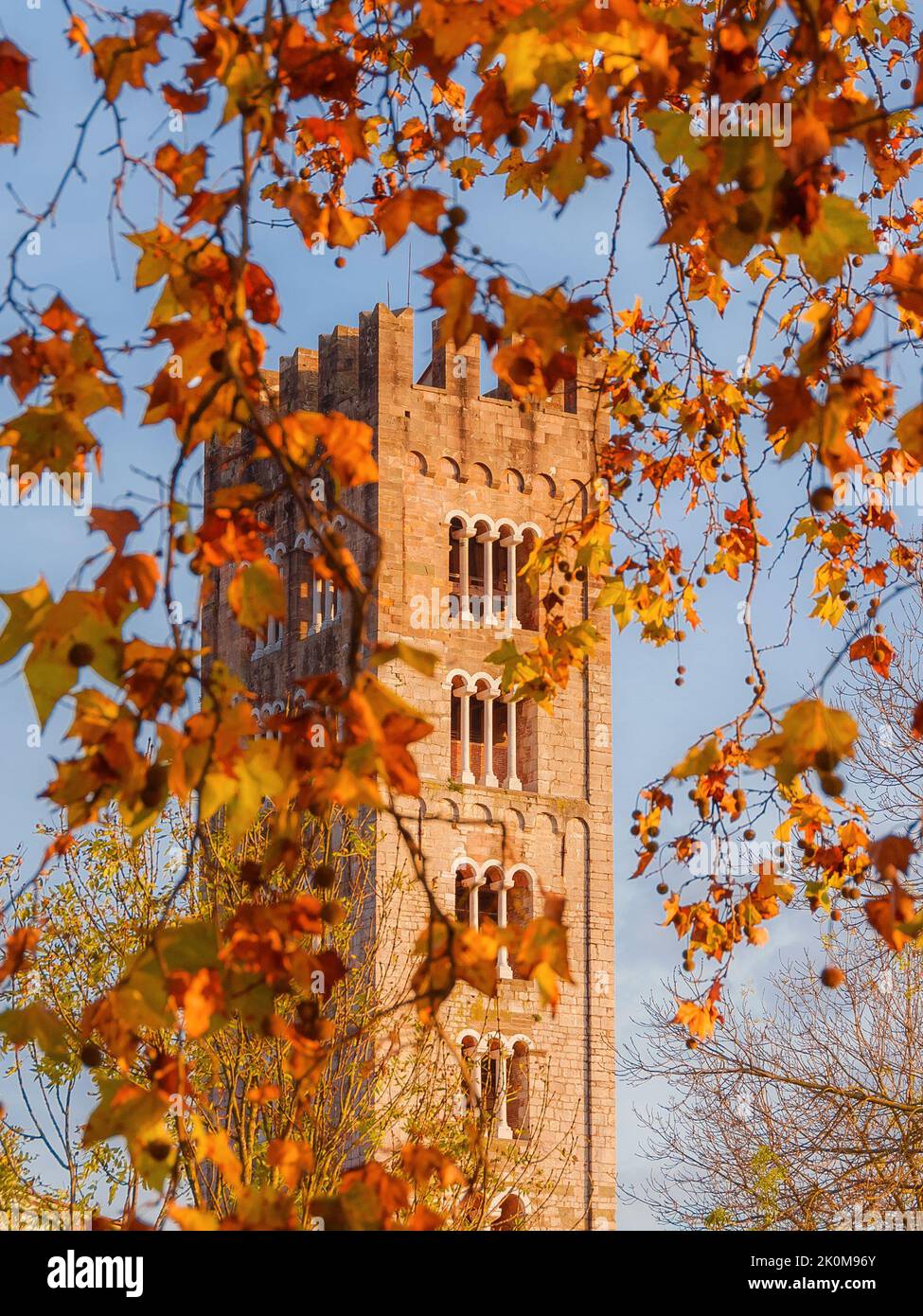 Herbst und Laub in Lucca. Kirche St. Fredianus mittelalterlichen Glockenturm zwischen Platanen herbstlichen roten, orangen und braunen Blättern Stockfoto