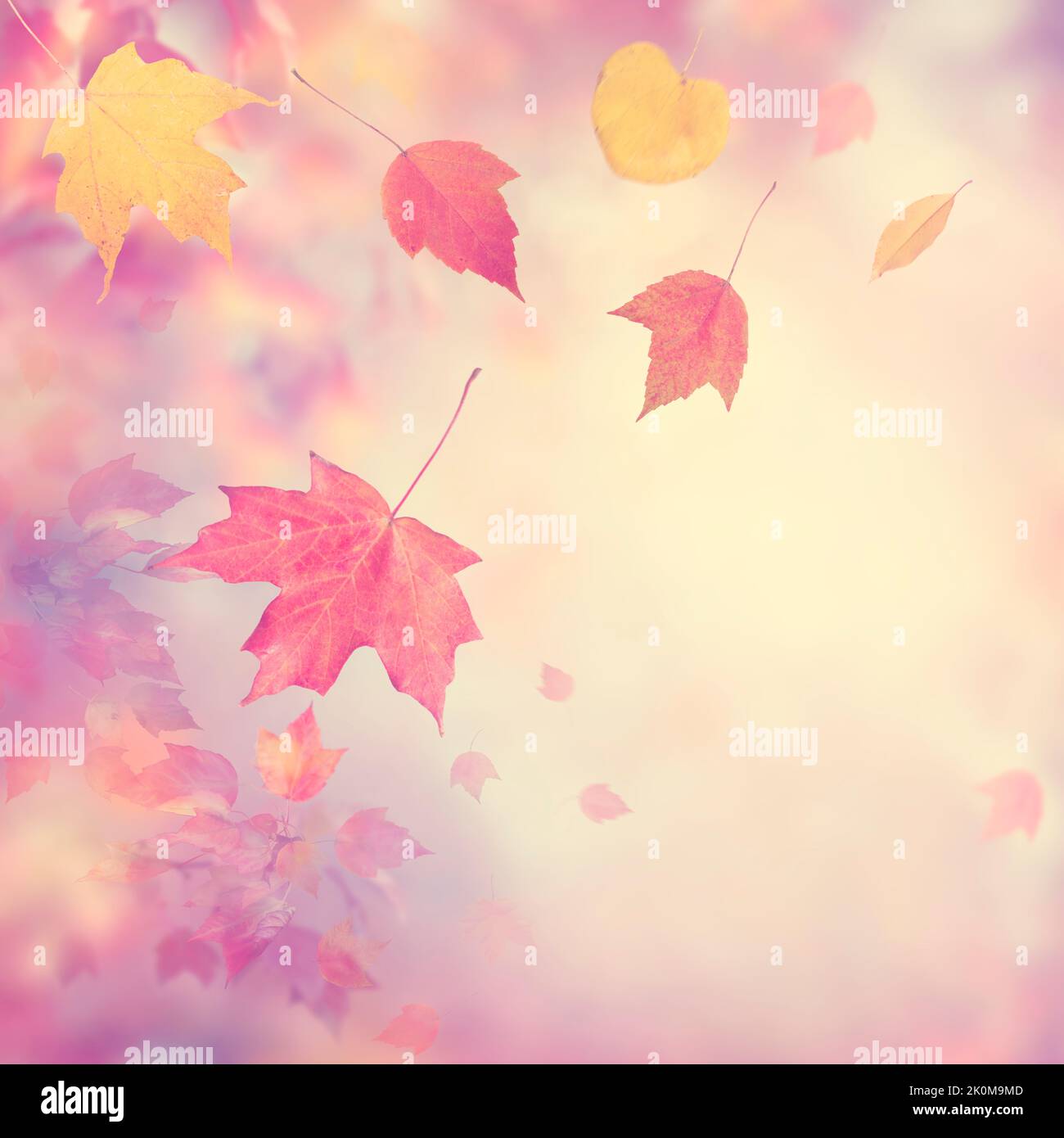 Herbst-Hintergrund mit bunten Blättern Stockfoto