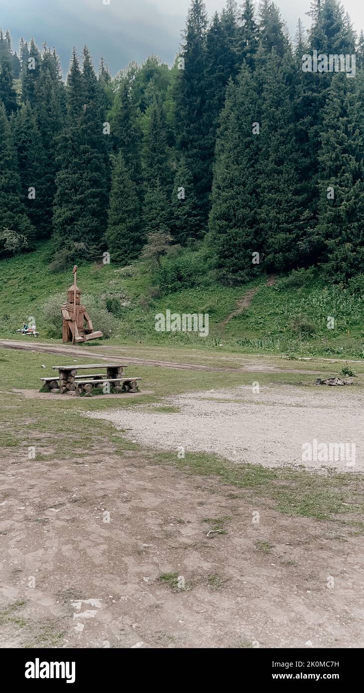 Natur riesige Pinien und ein Picknick-Bereich im Sommer. Stockfoto