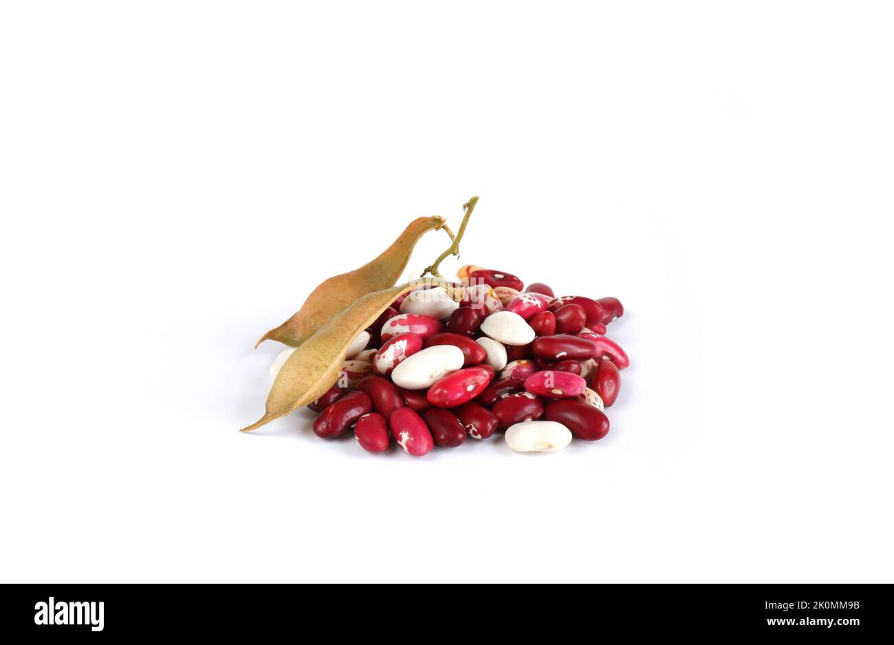 Rote und weiße Bohnen, beige Schoten mit Bohnenkörnern auf weißem Hintergrund. Stockfoto
