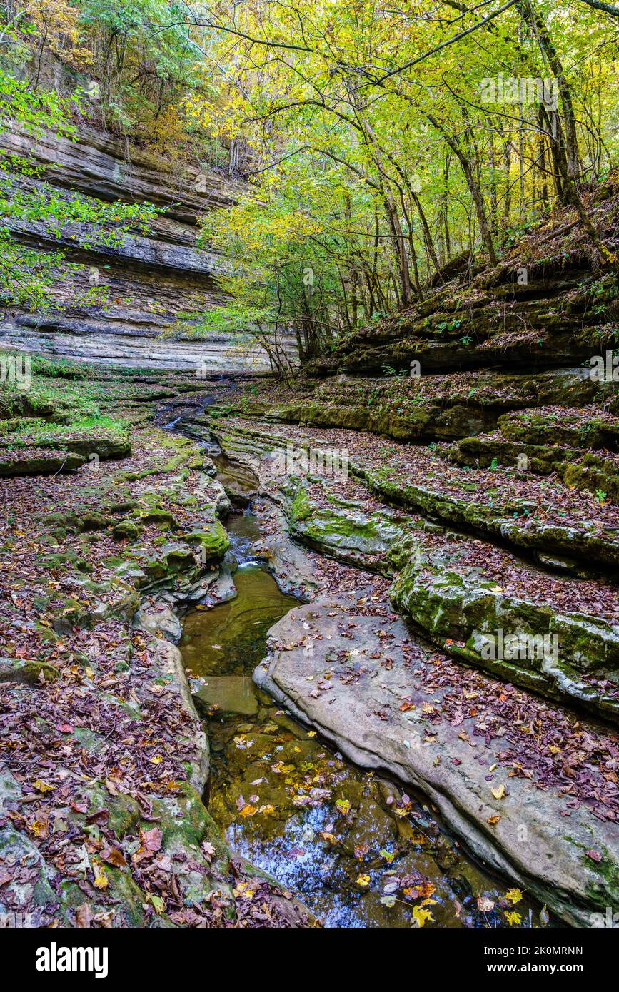 Raven Run Creek und Schlucht im Raven Run Nature Sanctuary in Lexington, Kentucky Stockfoto