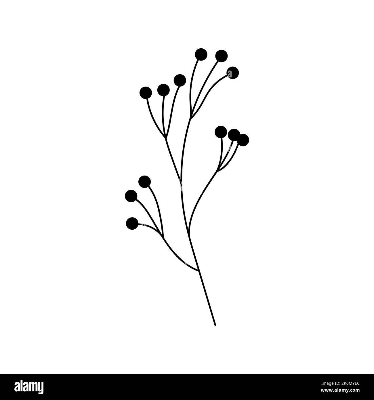 Illustration einer Blume, Silhouette eines Zweiges mit Blumen und Blättern. Vektorgrafik. Blumendruck Stock Vektor
