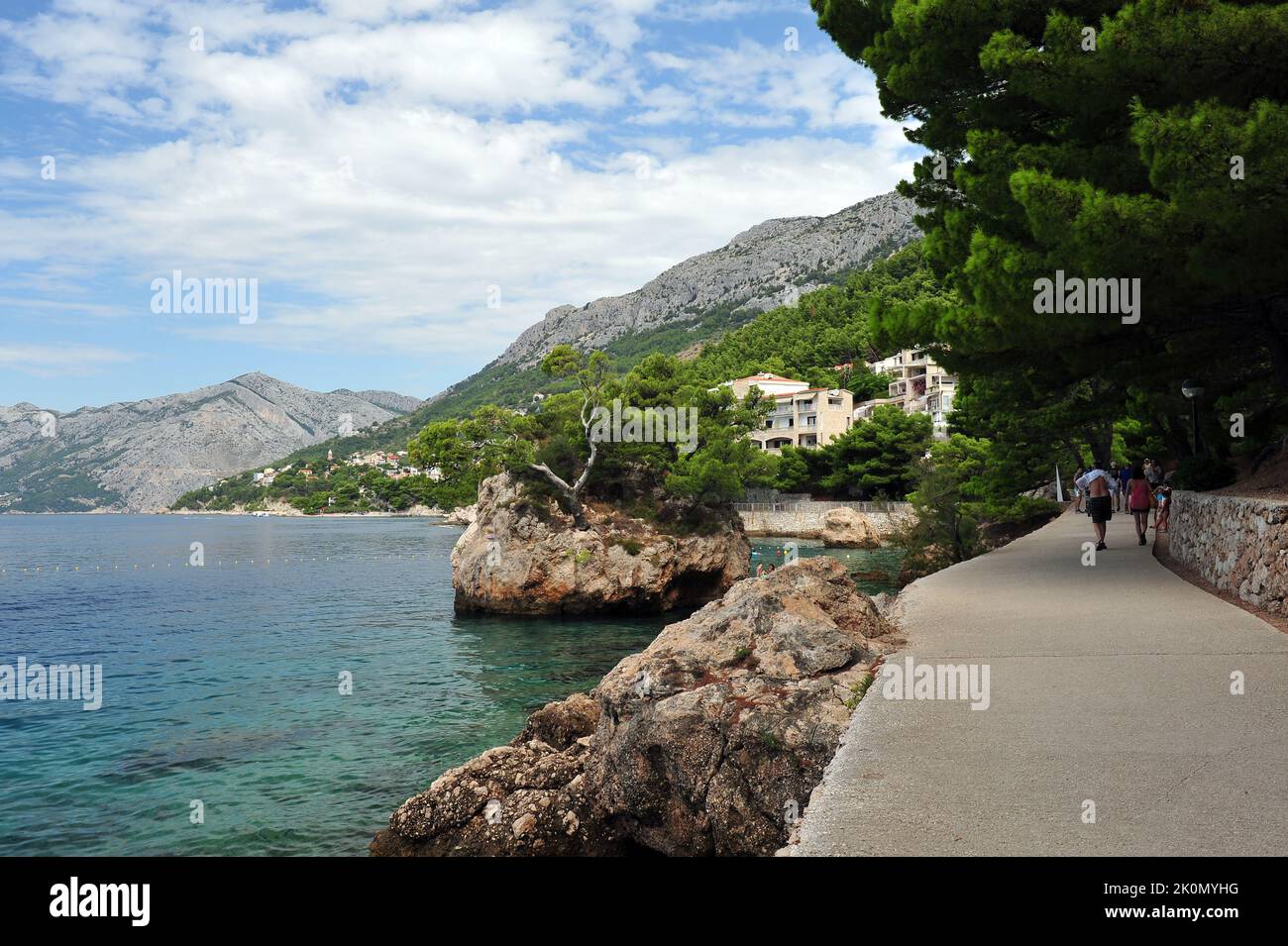 Felsen mit Pinien entlang der Strandpromenade in Brela, Kroatien. Stockfoto