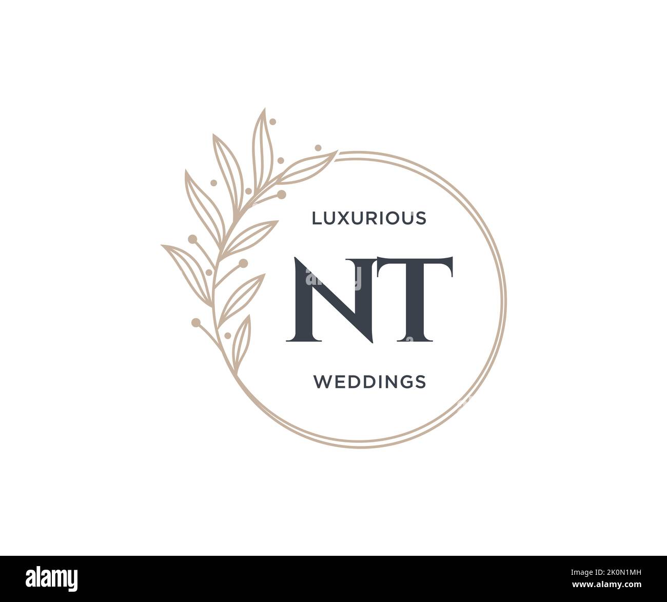NT Initialen Brief Hochzeit Monogramm Logos Vorlage, handgezeichnete moderne minimalistische und florale Vorlagen für Einladungskarten, Save the Date, elegant Stock Vektor