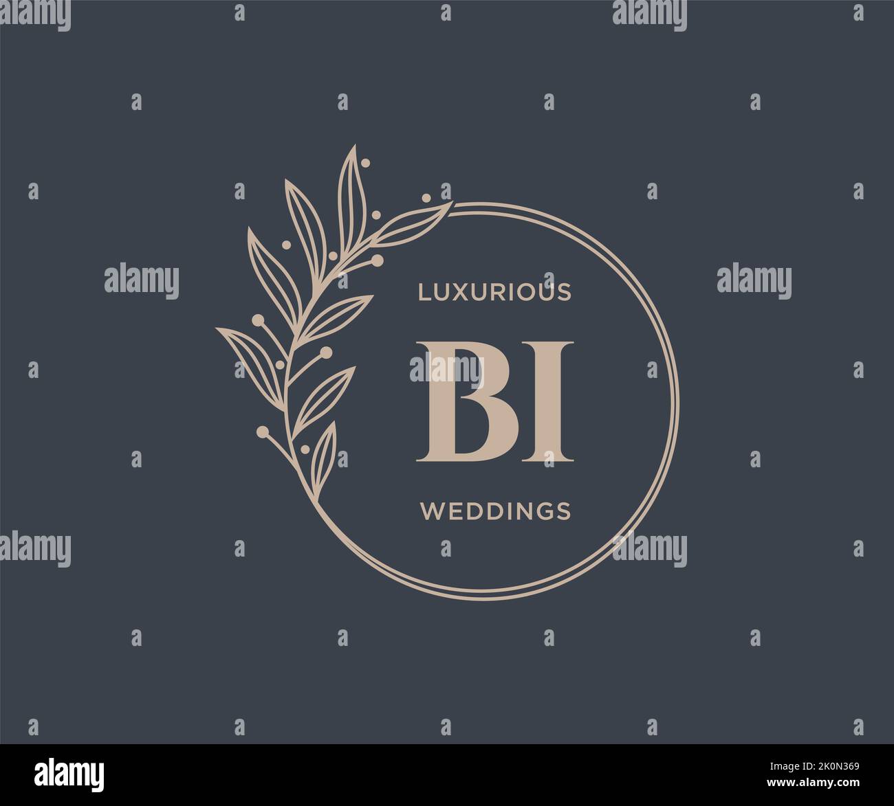 BI Initialen Brief Hochzeit Monogramm Logos Vorlage, handgezeichnete moderne minimalistische und florale Vorlagen für Einladungskarten, Save the Date, elegant Stock Vektor