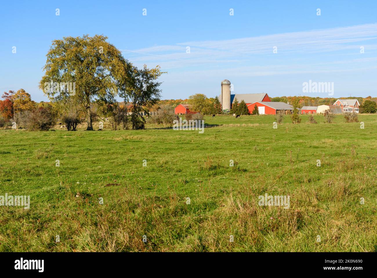 Moderne amerikanische Farm mit roten Gebäuden und einem Silo bei Sonnenuntergang im Herbst. Ein Wald auf dem Gipfel des Herbstlaubes ist im Hintergrund. Stockfoto