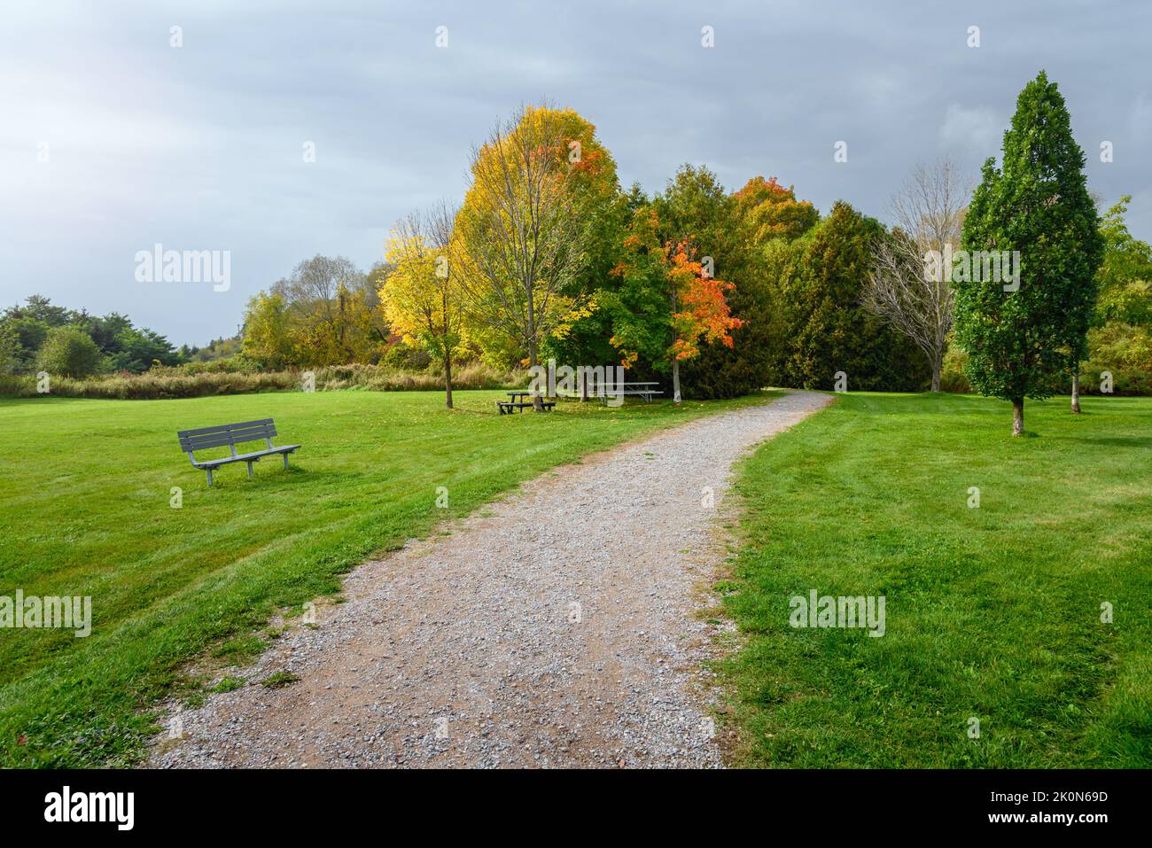 Verlassene Kieswege, gesäumt von Bänken und Picknicktischen, die im Herbst in einem Park unter Sturmwolken durch Wälder führen Stockfoto