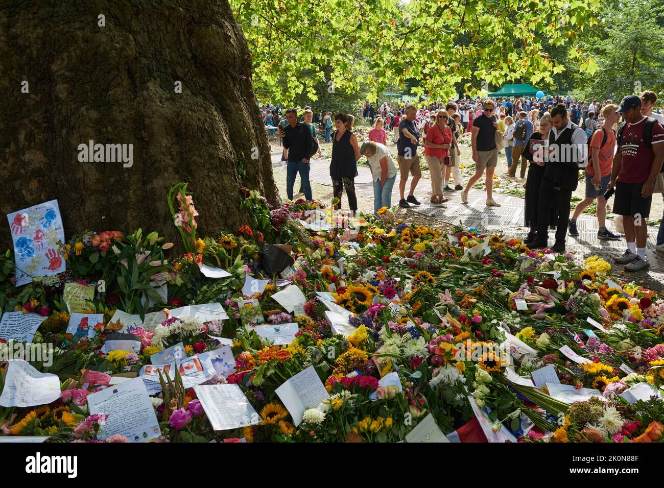 Blumenbotschaften und Botschaften rund um einen Baum im Green Park, London, Großbritannien, am 12.. September 2022, nach dem Tod von Königin Elizabeth II Stockfoto