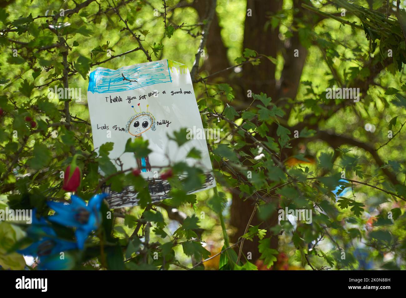 Eine Botschaft von einer Kinderkarte an Königin Elizabeth II., in einem Baum in Green Park, London, Großbritannien, am 12.. September 2022 Stockfoto
