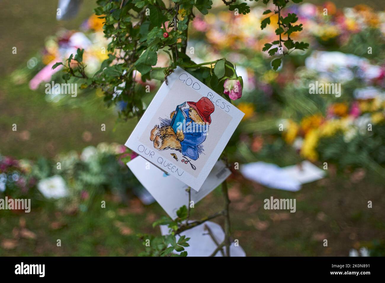Eine Karte mit Paddington Bear und eine Nachricht, die am 12.. September 2022, nach dem Tod der Queen, von einem Baum im Green Park, London, Großbritannien, hängt Stockfoto
