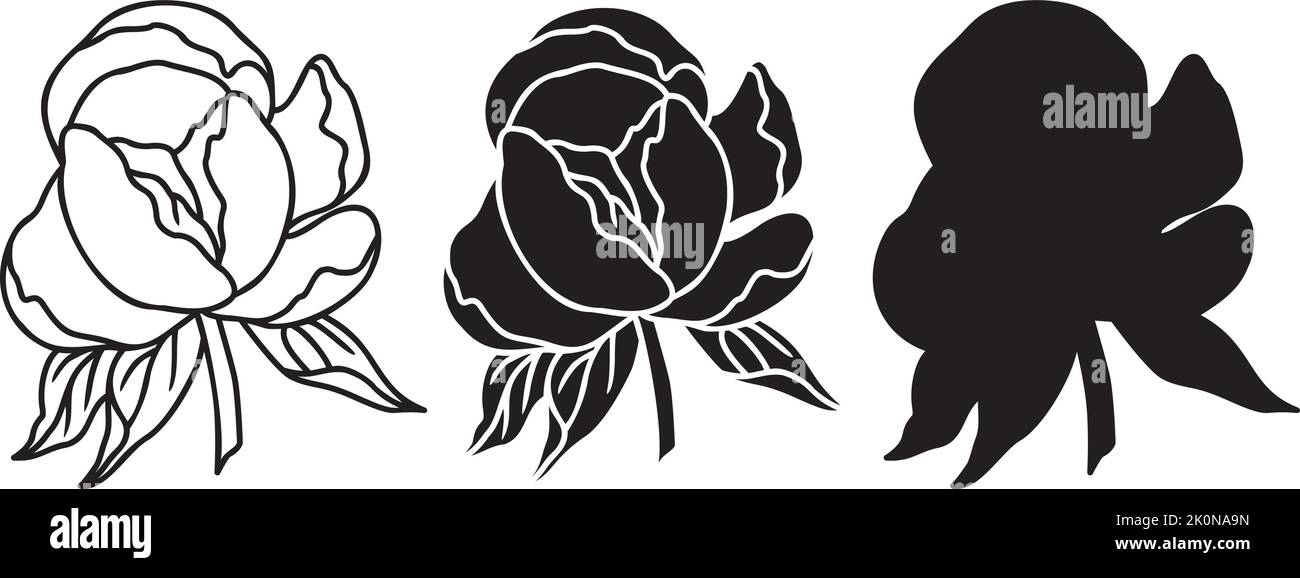 Vektorpeonies SVG-Umriss. Peonies Silhouette. Eine Linie Peony Blume Iilustration isoliert auf weißem Hintergrund. Stock Vektor