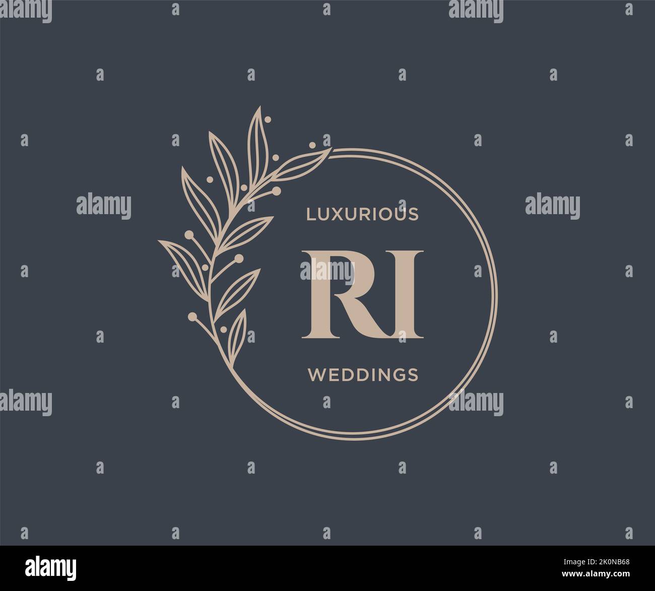 RI Initialen Brief Hochzeit Monogramm Logos Vorlage, handgezeichnete moderne minimalistische und florale Vorlagen für Einladungskarten, Save the Date, elegant Stock Vektor