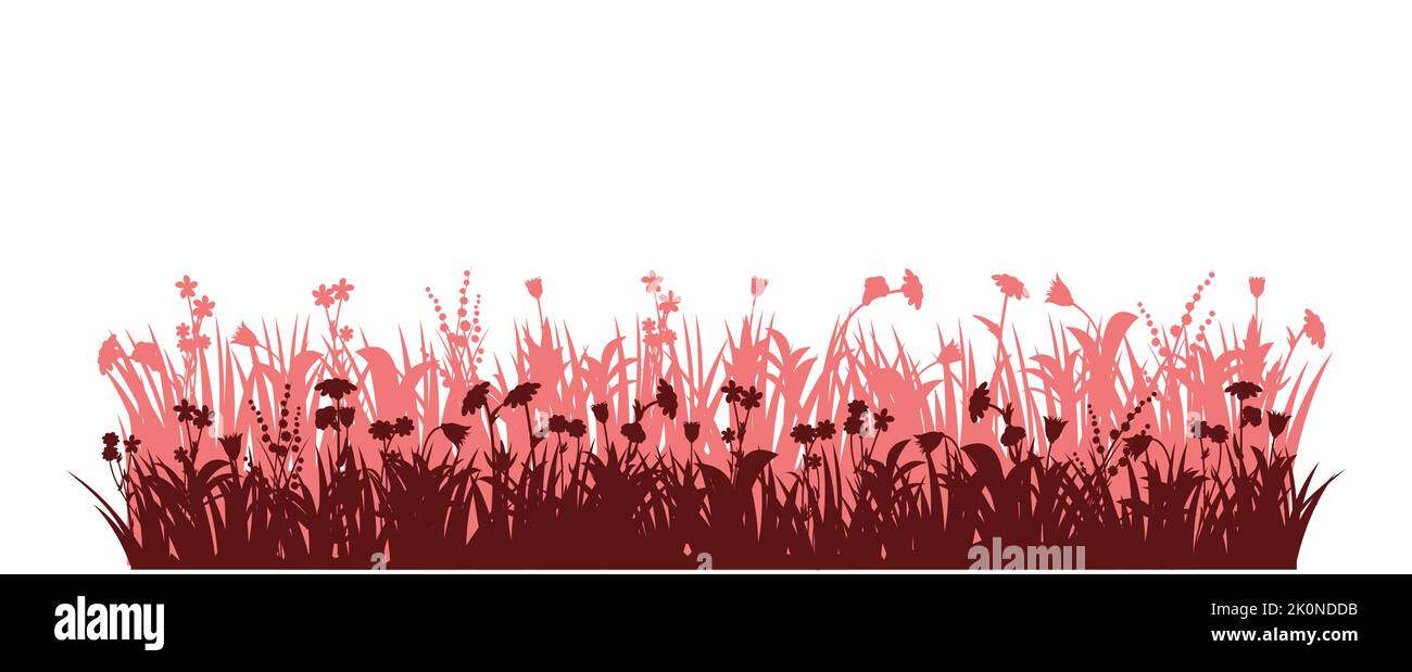 Blühende Sommerwiese. Dichtes Gras und Wildblumen. Ländliche Landschaft. Witziger Cartoon-Stil. Isoliert auf weißem Hintergrund. Vektor Stock Vektor