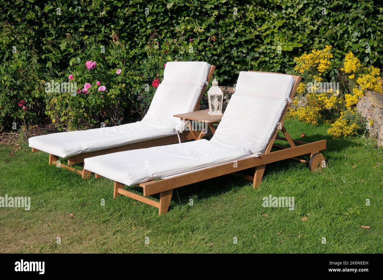 Zwei hölzerne Gartenliegestühle mit Dampfgarer, Sonnenliegen mit Kissen auf einer Rasenfläche im Sommer. England, Großbritannien Stockfoto