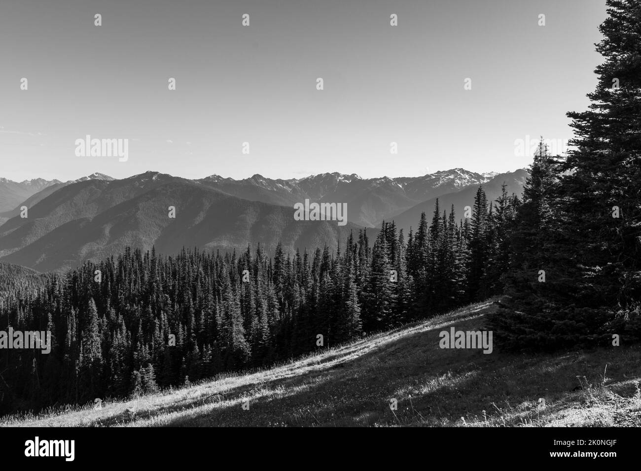Schöner Olympischer Nationalpark in Monochrom Stockfoto