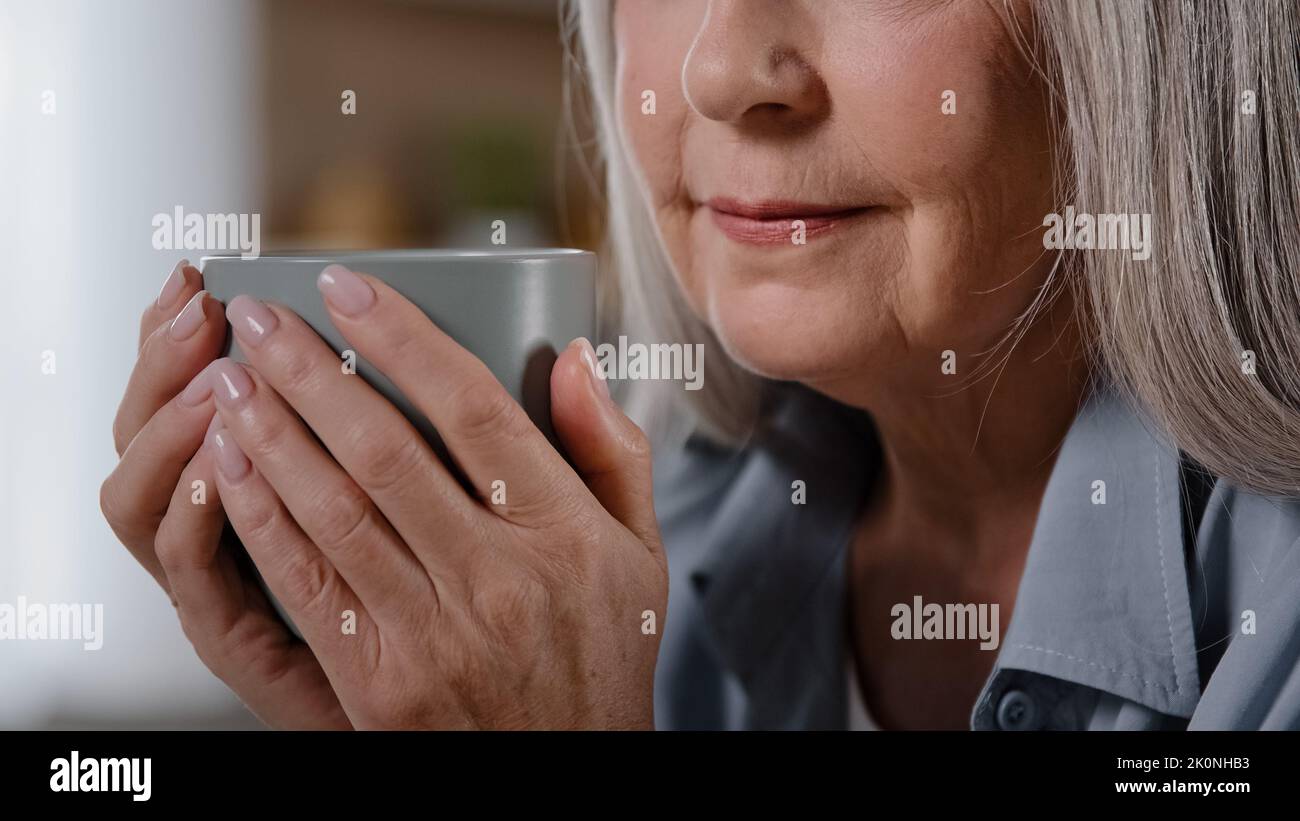 Nahaufnahme ältere unbekannte grauhaarige kaukasische Frau reife alte Großmutter mittleren Alters Dame Rentnerin weiblich zu Hause entspannen mit einer Tasse Tee Stockfoto