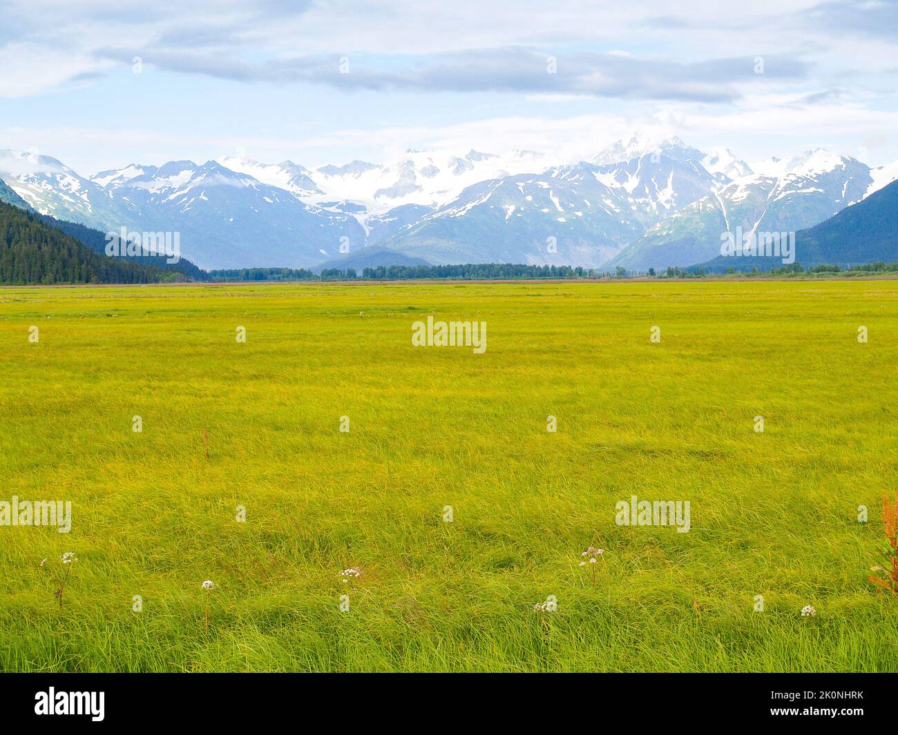 Ausgedehnte Feuchtgebietslandschaft aus Wasser und grüner Vegetation, die sich in der Ferne erstreckt und von Bergen begrenzt wird, die sich in Richtung Schnee auf den Bergen Alaskas zusammenlaufen Stockfoto