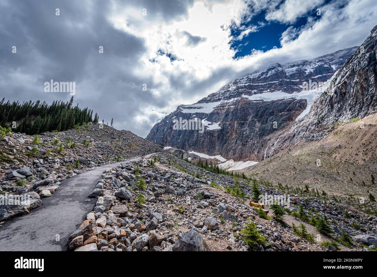 Der Glacier Trail am Mt. Edith Cavell im Jasper National Park, Alberta Stockfoto