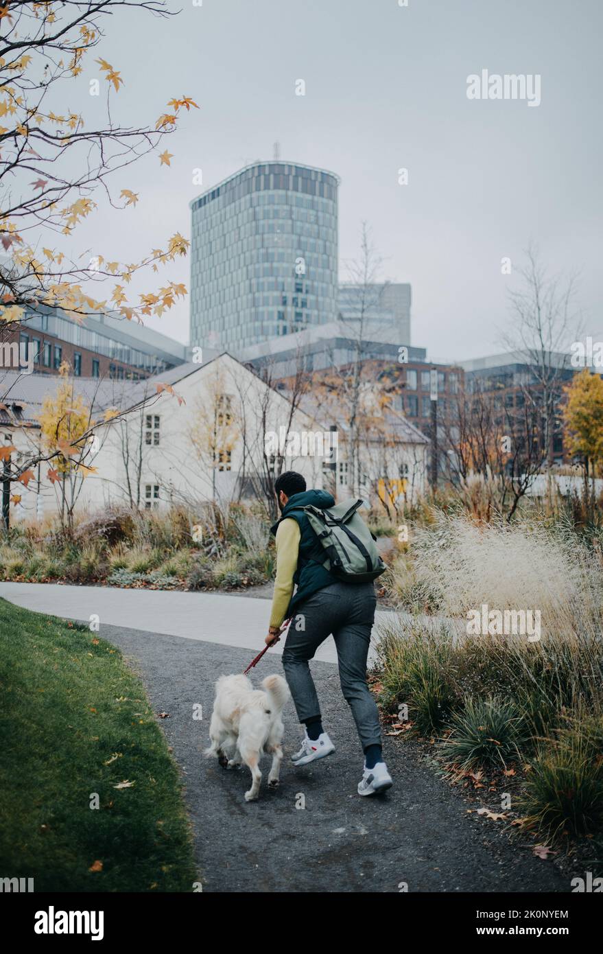 Rückansicht eines jungen Mannes, der mit seinem Hund an der Leine im Stadtpark läuft. Stockfoto