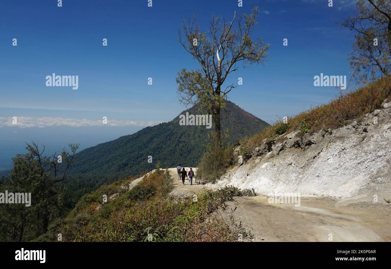 Banyuwangi, Indonesien - 13. Oktober 2019 : morgendliche Aktivität auf dem Gipfel des Berges Ijen Banyuwangi Indonesien. Stockfoto