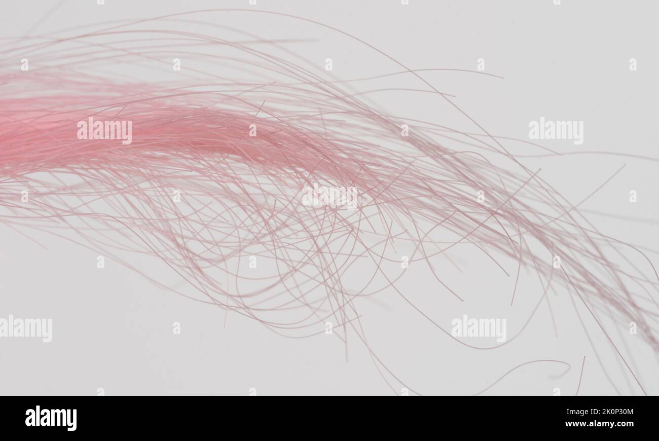 Lockig chaotisch rosa Farbe Haarenden isoliert auf weißem Studio-Hintergrund Stockfoto
