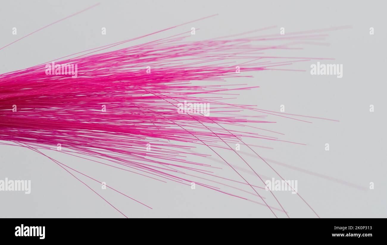 Rosafarbene, gerade Haarenden isoliert auf weißem Studiohintergrund Stockfoto