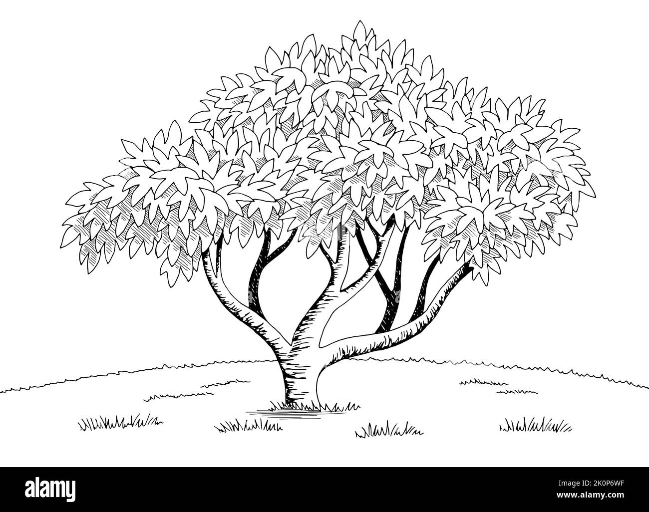 Abb. Baum Grafik schwarz weiß Landschaft Skizze Illustration Vektor Stock Vektor