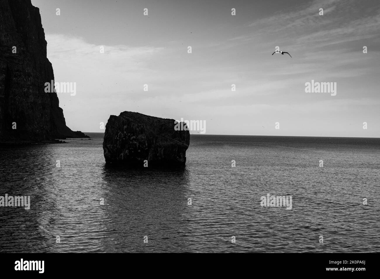 Isländische Rucksacktouristen Stockfoto