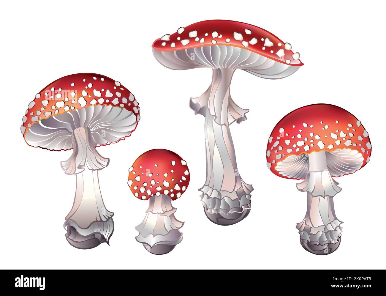 Set aus kunstvoll gezeichneten, giftigen Pilzen mit weiß gesprenkeltem roten Hut auf weißem Hintergrund. Rote Fliege, agarisch. Cottagecore. Mushroomcore. Stock Vektor