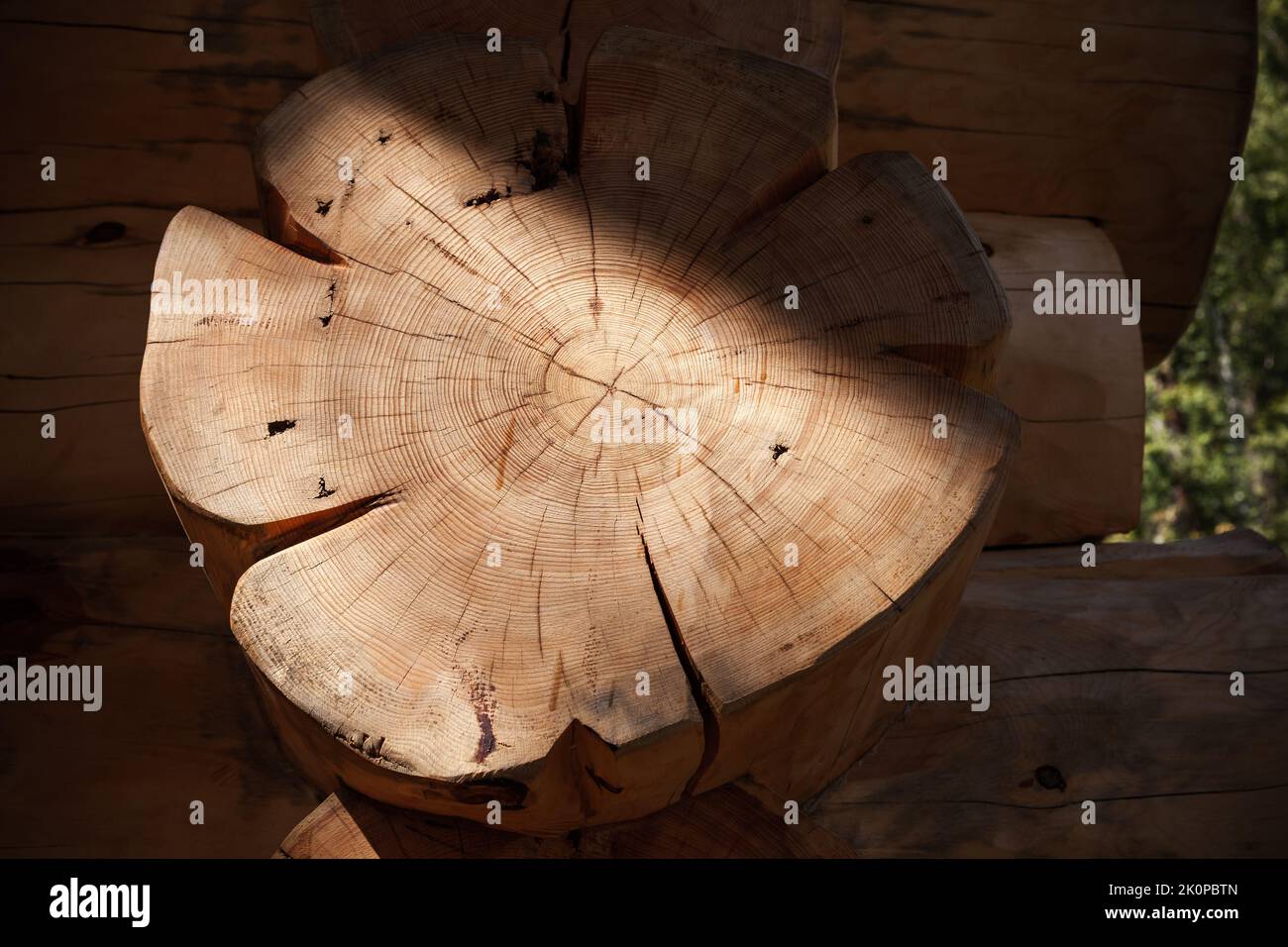 Log einer sibirischen Kiefer als Teil eines Holzhauses in Sibirien Stockfoto
