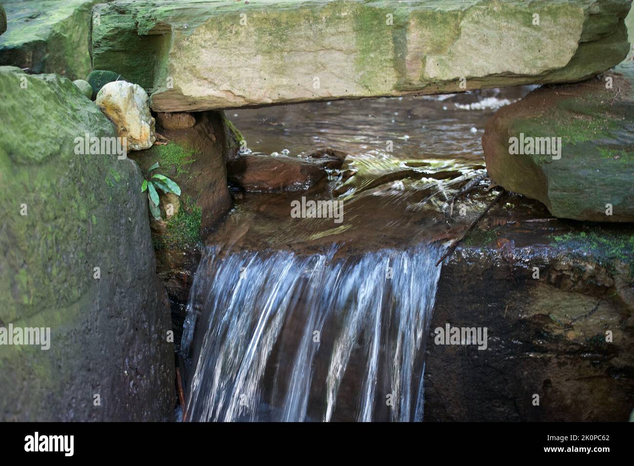 Dieser kleine Wasserfall unter einem Felsen fiel mir nicht auf, sondern wurde von den Landschaftsgärtnern des Healesville Sanctuary in Victoria, Australien, erbaut. Stockfoto