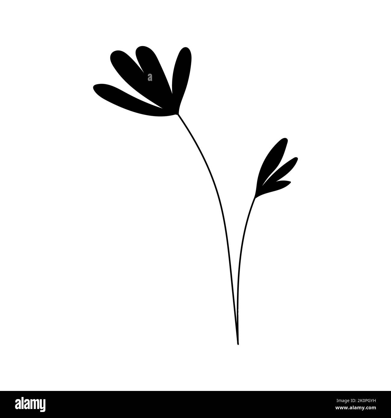 Illustration einer Blume, Silhouette eines Zweiges mit Blumen und Blättern. Vektorgrafik. Blumendruck Stock Vektor
