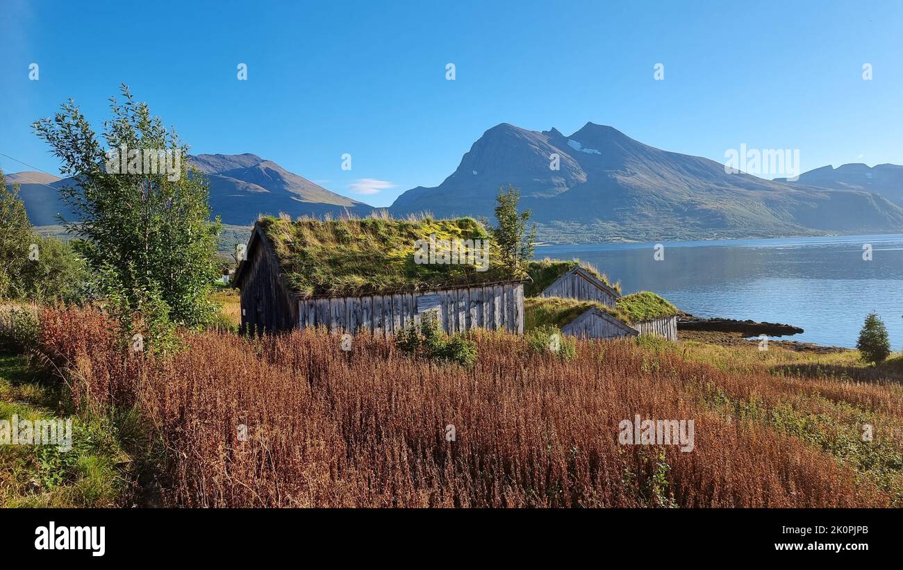 Traditionelle Holzhütte mit grünem Dach vor dem Fjord in Nordnorwegen nahe Tromso Stockfoto
