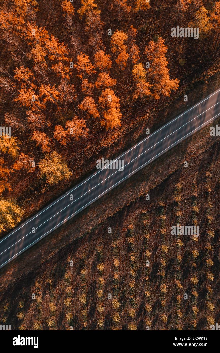 Luftaufnahme einer leeren Asphaltstraße durch Laubwald am Herbstnachmittag, Drohne pov Bild von oben nach unten Stockfoto