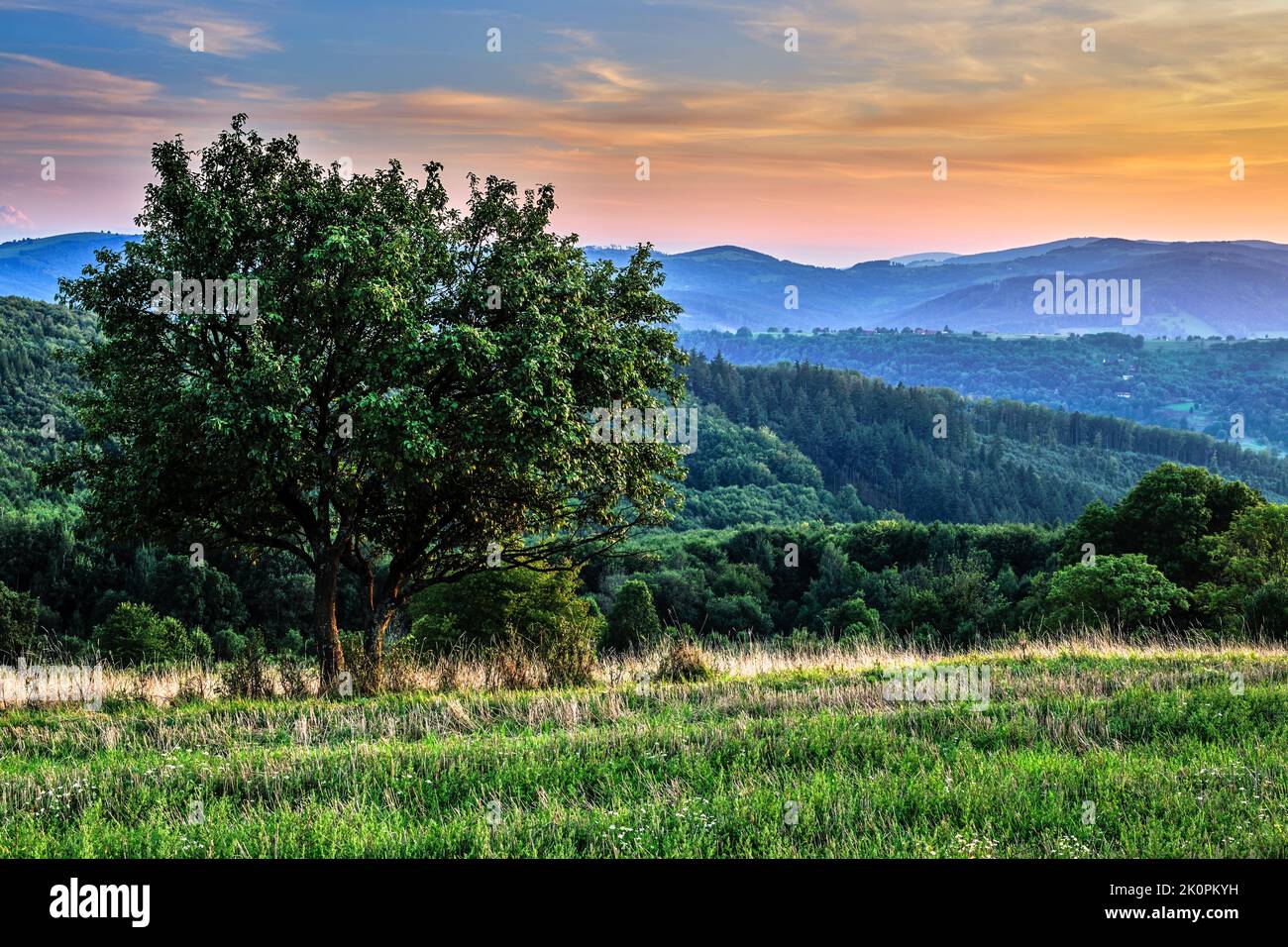Sommer ländliche hügelige Landschaft mit Baum und Wald nach Sonnenuntergang. Abend in der Abenddämmerung. Schöne bunte Wolken am blauen Himmel. Horna Suca, Slowakei. Stockfoto