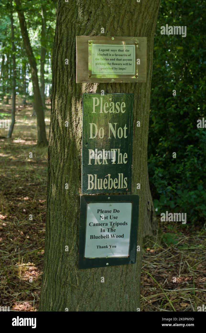 Warnschilder: Wählen Sie keine Bluebells und verwenden Sie keine Kamerastative, Coton Manor Gardens, Northamptonshire, Großbritannien Stockfoto