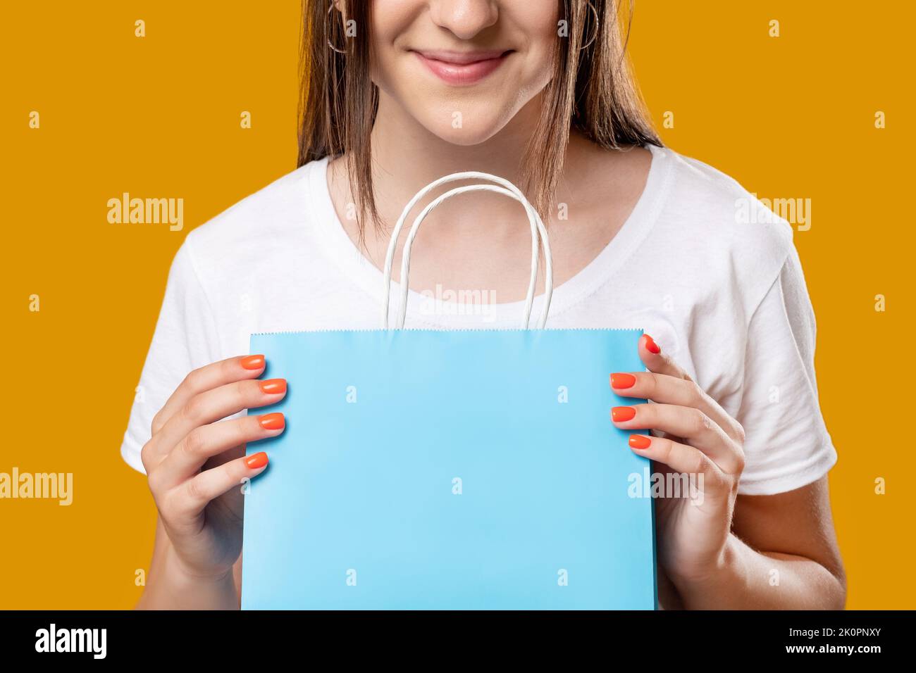 Online-Shopping Urlaub Geschenke glückliche Frau Tasche Stockfoto