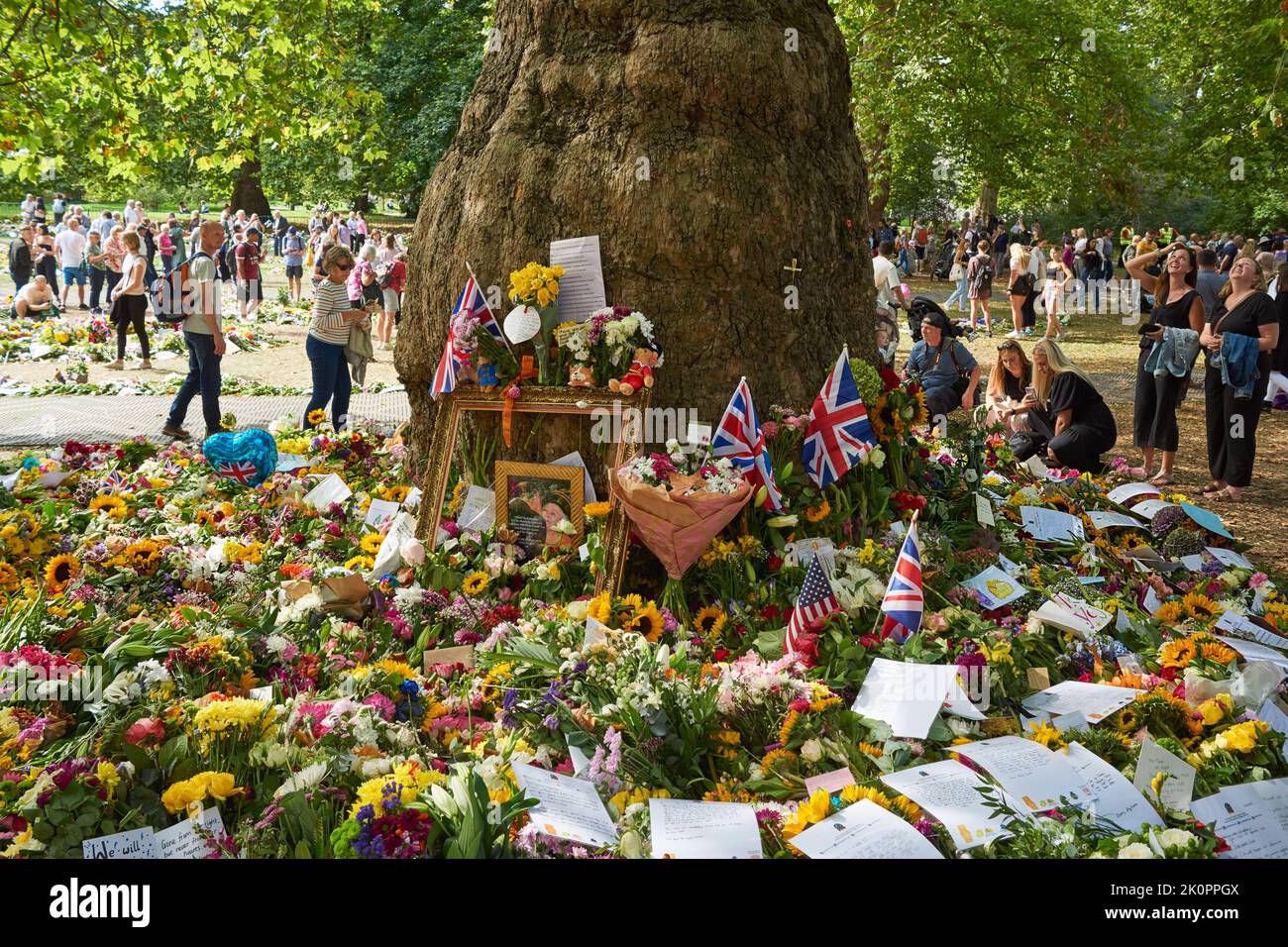Riesige öffentliche Blumenbezeigung der Zuneigung für Queen Elizabeth II, um einen Baum im Green Park, London, am 12.. September 2022 Stockfoto