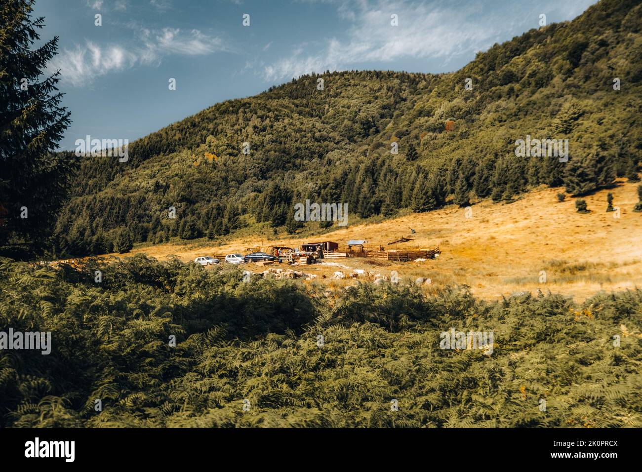 Bergige Landschaft.Schafstall auf Wiese in den Karpaten. Stockfoto