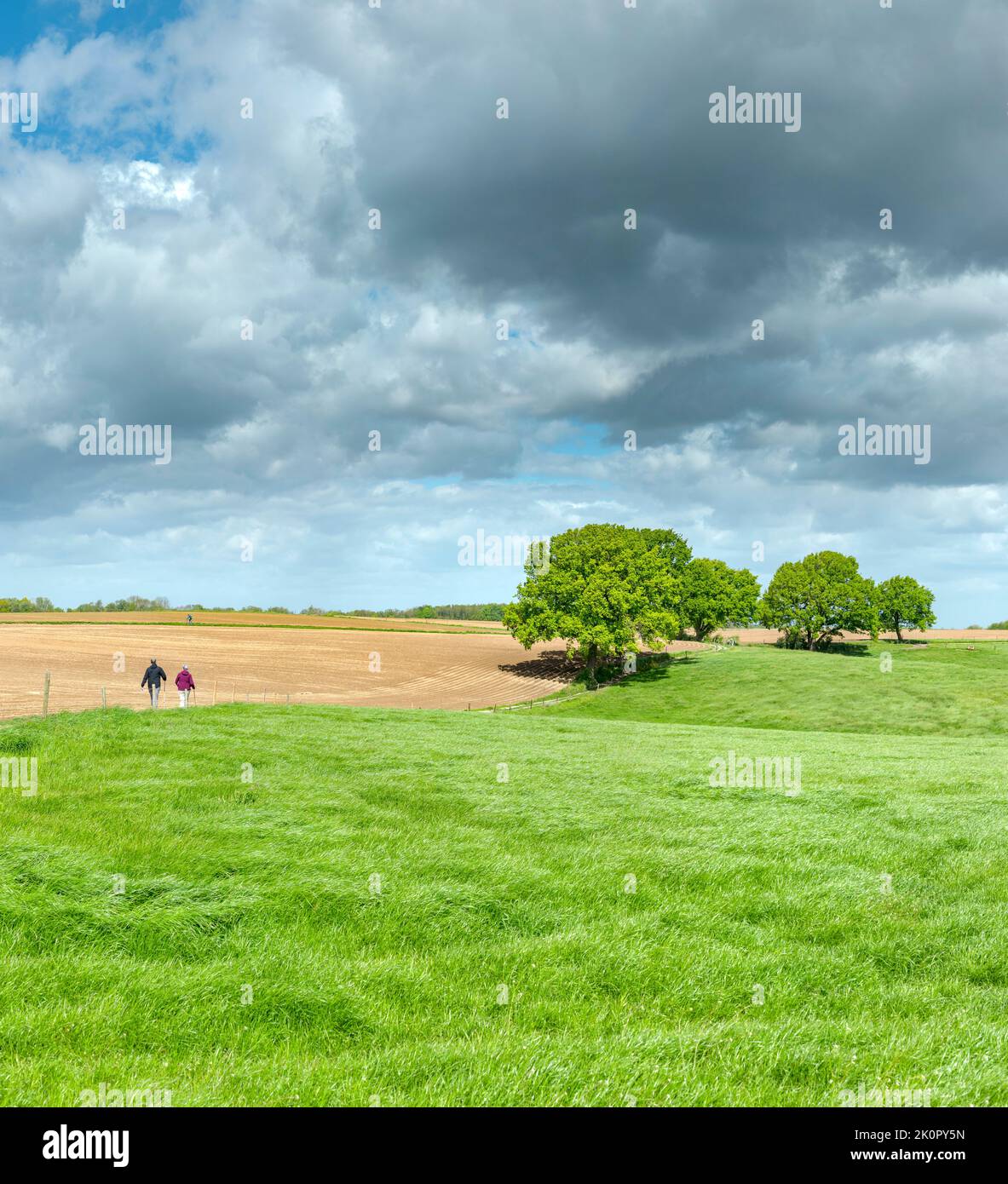 Menschen, die auf einem offenen Feld auf einige Bäume zulaufen, Wijlre, Limburg, Niederlande, Landschaft, Feld, Wiese, Bäume, Frühling, Menschen, *** Lokale Bildunterschrift Stockfoto