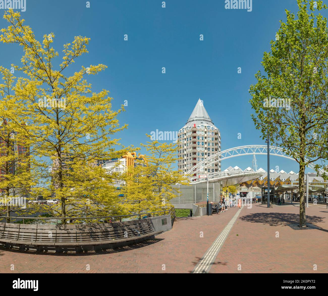 Bahnhof Blaak mit den berühmten würfelförmigen Häusern, Rotterdam, Zuid-Holland, Niederlande, Stadt, Dorf, Wald, Wald, Bäume, Sommer, Menschen, ** Stockfoto