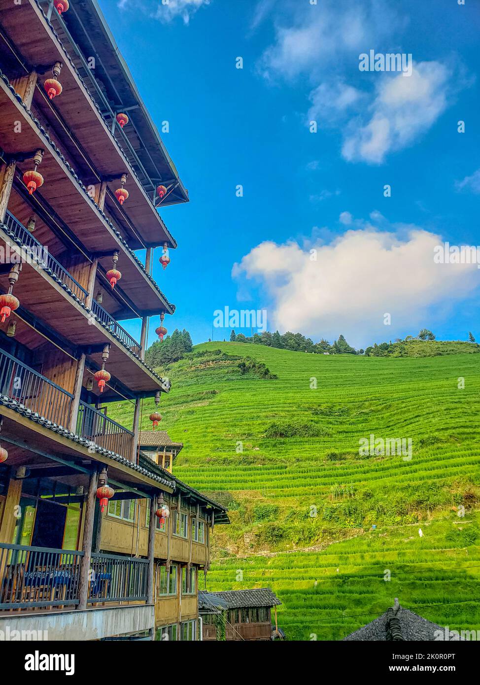 Blick auf einen Teil des traditionellen alten Hauses in China. Chinesische Laternen auf Balkonen, Ziegeldächer. Reisfelder im Hintergrund und blauer Himmel. Stockfoto